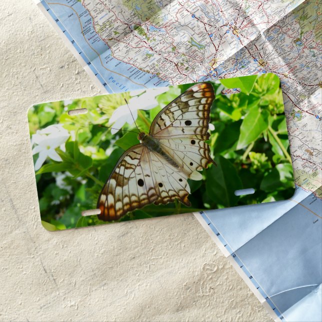Butterfly on Jasmine Tropical Nature Photography License Plate (In Situ)