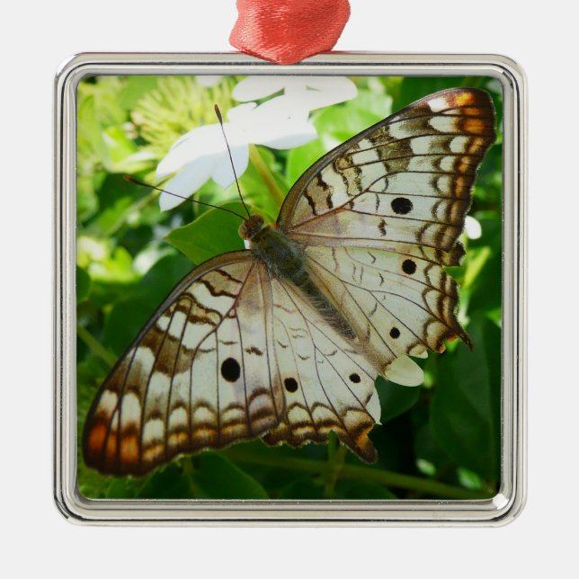 Butterfly on Jasmine Tropical Nature Photography Metal Ornament (Front)