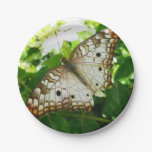 Butterfly on Jasmine Tropical Nature Photography Paper Plates