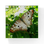 Butterfly on Jasmine Tropical Nature Photography Paperweight