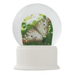 Butterfly on Jasmine Tropical Nature Photography Snow Globe