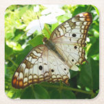 Butterfly on Jasmine Tropical Nature Photography Square Paper Coaster