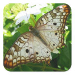 Butterfly on Jasmine Tropical Nature Photography Square Sticker