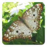 Butterfly on Jasmine Tropical Nature Photography Square Sticker