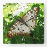 Butterfly on Jasmine Tropical Nature Photography Square Wall Clock