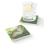 Butterfly on Jasmine Tropical Nature Photography Stone Coaster