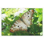 Butterfly on Jasmine Tropical Nature Photography Tissue Paper