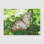 Butterfly on Jasmine Tropical Nature Photography Tissue Paper