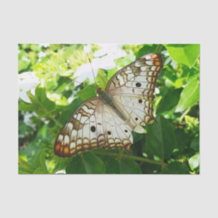Butterfly on Jasmine Tropical Nature Photography Tissue Paper