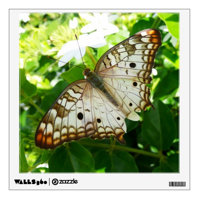 Butterfly on Jasmine Tropical Nature Photography Wall Sticker (Front)