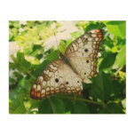 Butterfly on Jasmine Tropical Nature Photography Wood Wall Decor