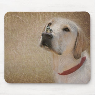 Butterfly on Labrador Retriever's Nose Mouse Pad