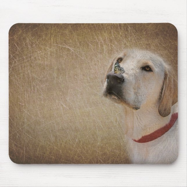 butterfly on Labrador's nose Mouse Pad (Front)