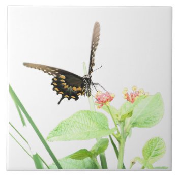 Butterfly On Lantana  On White Ceramic Tile by PicturesByDesign at Zazzle