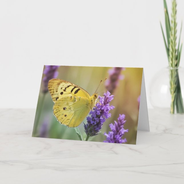 Butterfly on Lavender Card (Front)
