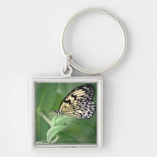 Butterfly on leaf keychain (Front)
