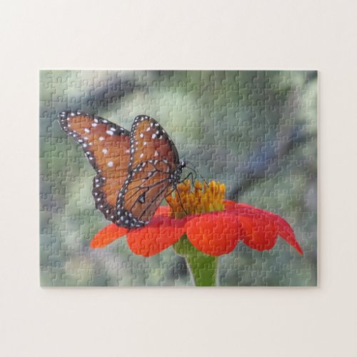 Butterfly on Mexican Sunflower Puzzle