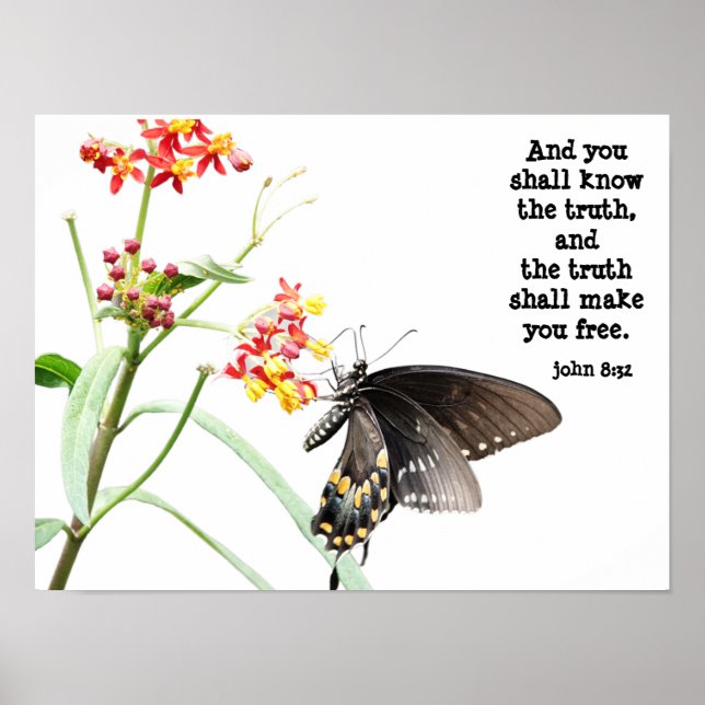 Butterfly on Milkweed, with Verse (John 8:32)  Poster (Front)