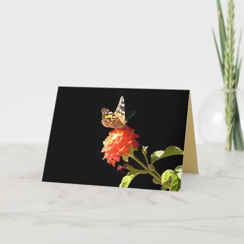 Butterfly on Orange Flower  Blank Inside Greeting Card