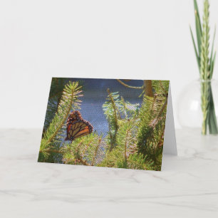 Butterfly on Pine Tree Canvas-Like Texture Card