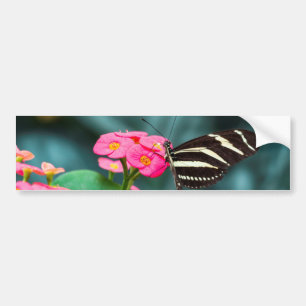 Butterfly on Pink Flower Photography Bumper Sticker