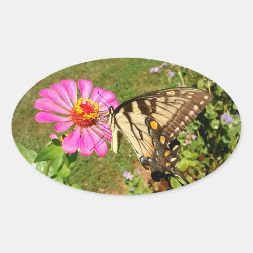 Butterfly on Pink Zinnia Side View Oval Sticker