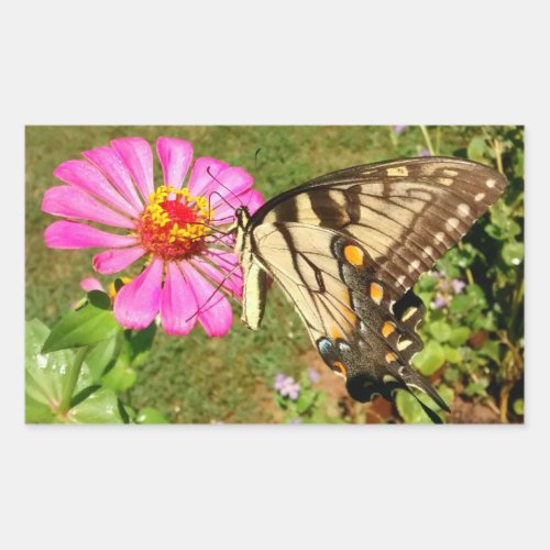 Butterfly on Pink Zinnia Side View Rectangular St Rectangular Sticker