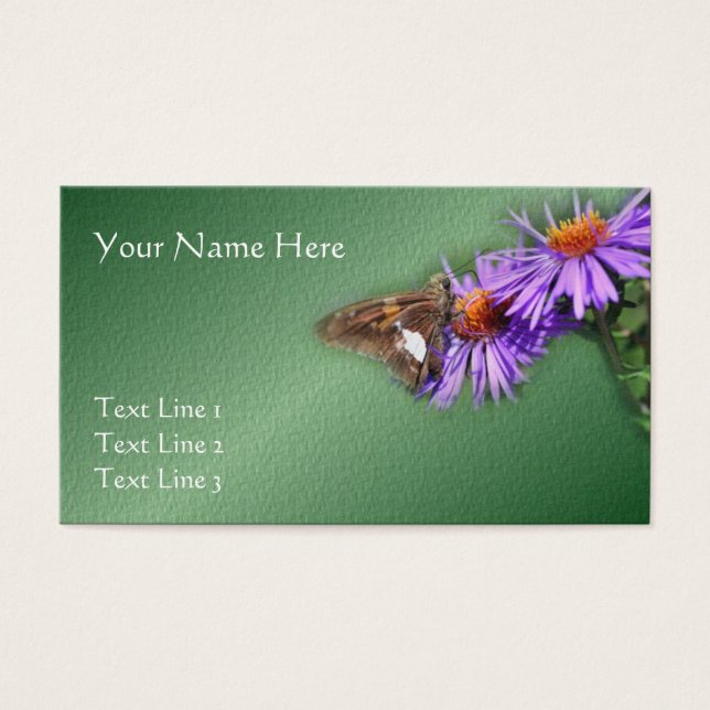 Butterfly On Purple Asters Nature (Front)