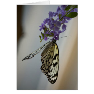 Butterfly on Purple flowers Cards