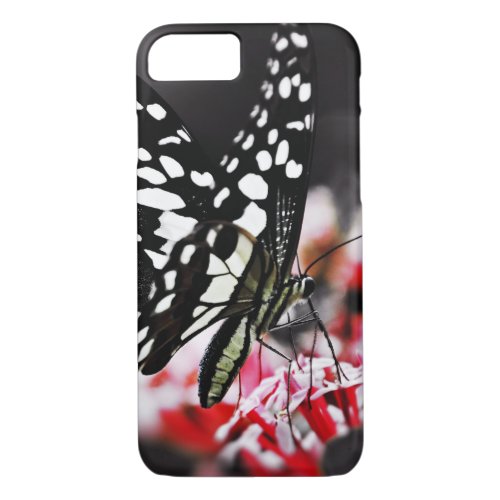 Butterfly on Red Flower iPhone 87 Case