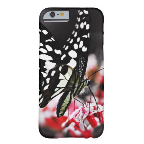 Butterfly on Red Flower Barely There iPhone 6 Case