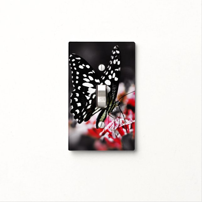 Butterfly on Red Flower Light Switch Cover (In Situ)