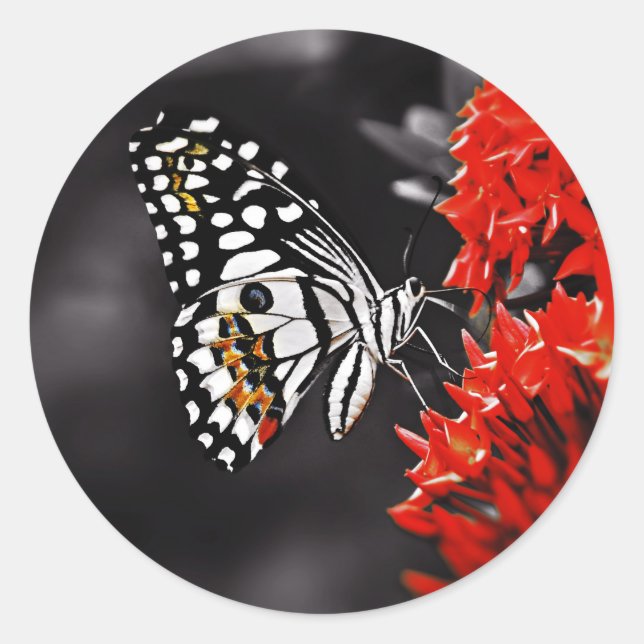 Butterfly on Red Flowers Classic Round Sticker (Front)
