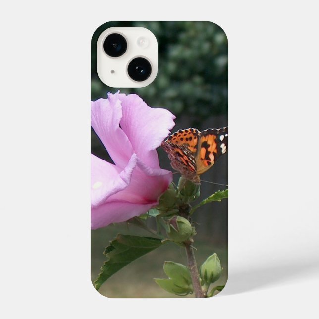 Butterfly on Rose of Sharon iPhone Case (Back)