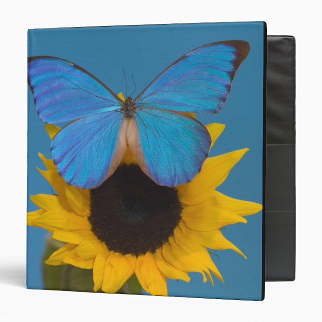 Butterfly on Sunflower 3 Ring Binder (Front/Inside)
