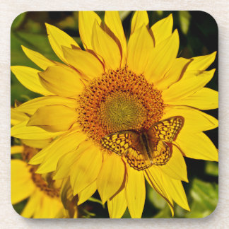 Butterfly on Sunflower Beverage Coaster