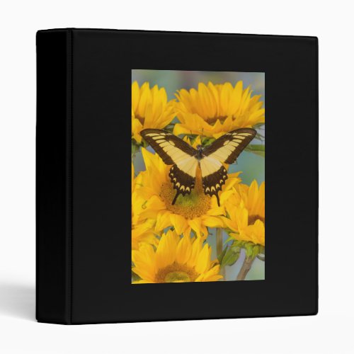 BUTTERFLY ON SUNFLOWER SPECIAL PHOTO ALBUMN 3 RING BINDER