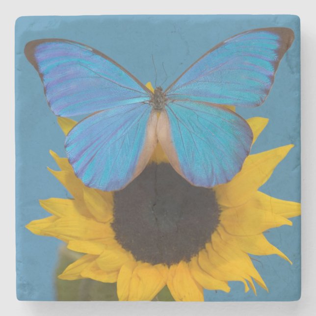 Butterfly on Sunflower Stone Coaster (Front)