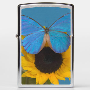Butterfly on Sunflower Zippo Lighter