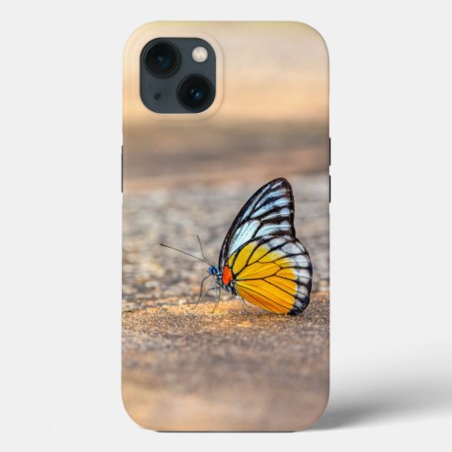 Butterfly on The Beach iPhone 13 Case