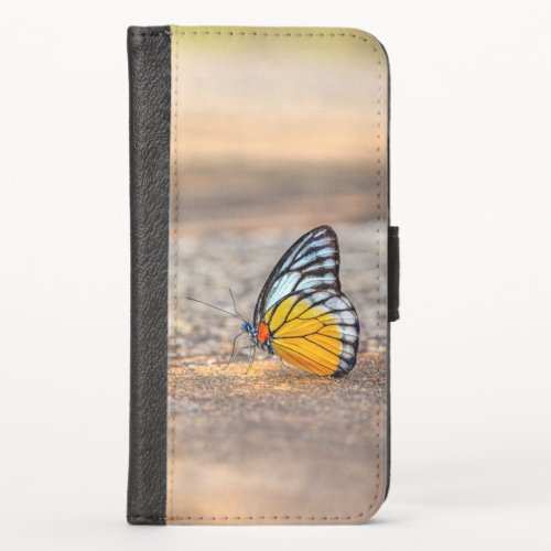 Butterfly on The Beach iPhone X Wallet Case