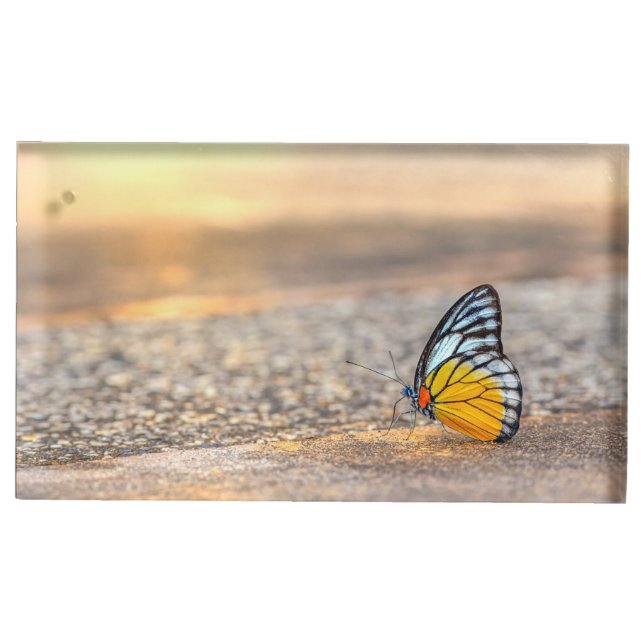 Butterfly on The Beach  Place Card Holder (Front)