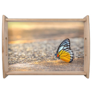 Butterfly on The Beach Serving Tray