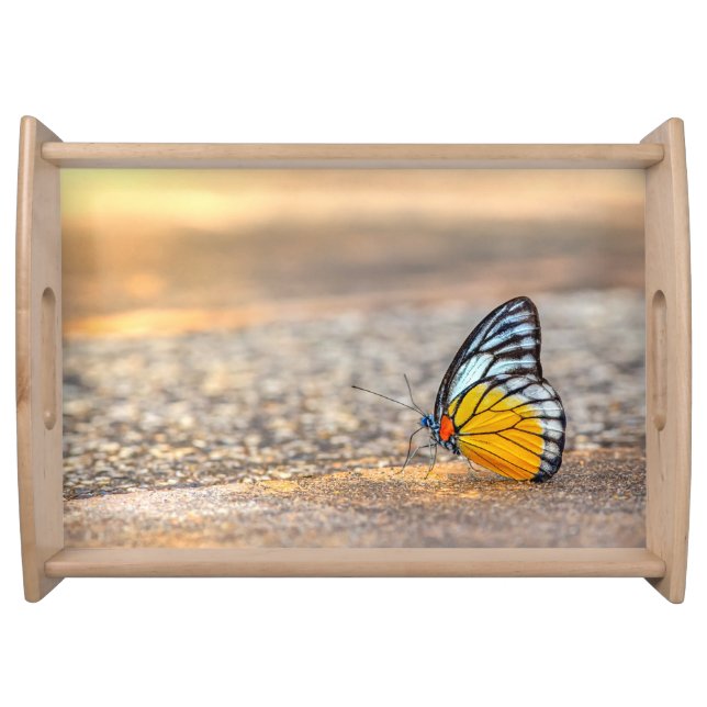 Butterfly on The Beach Serving Tray (Front)