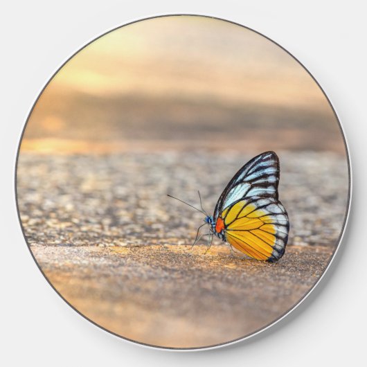 Butterfly on The Beach Wireless Charger (Front)