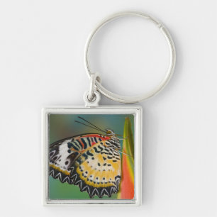 Butterfly on Tropical Flower Keychain