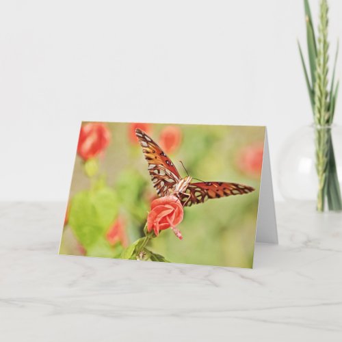 Butterfly On Turks Cap Flower Note Card