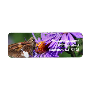 Butterfly On Wild Purple Aster Flower Address Label