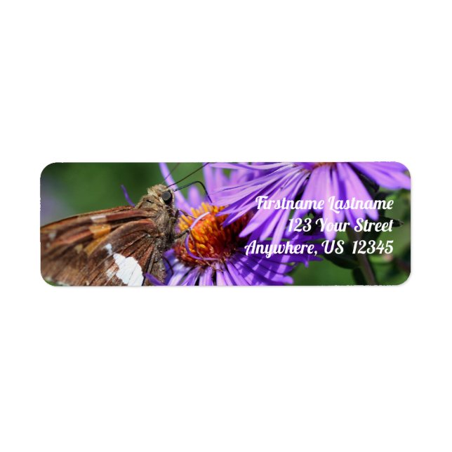 Butterfly On Wild Purple Aster Flower Address Label (Front)