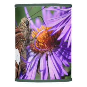 Butterfly On Wild Purple Aster Flower Nature Lamp Shade